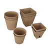 Plant Pot
