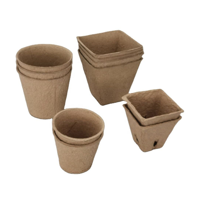 Plant Pot