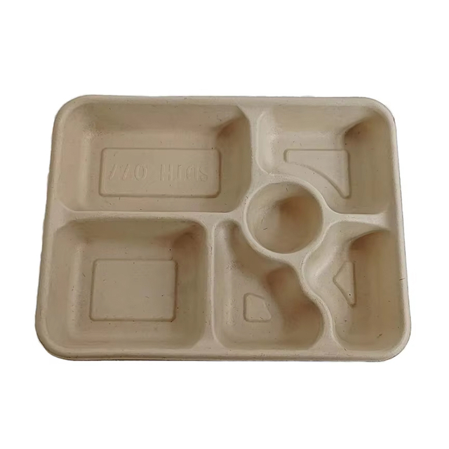 Lunch Plate